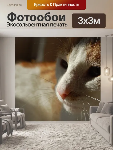 Фотообои Кошки