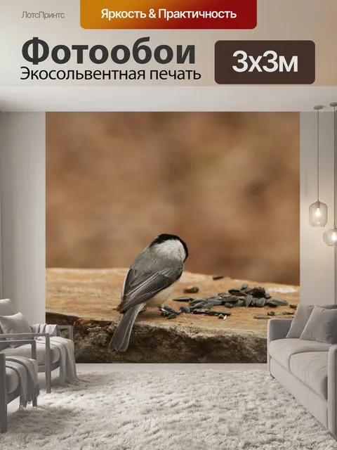 Фотообои Каролина Чикади благодарит