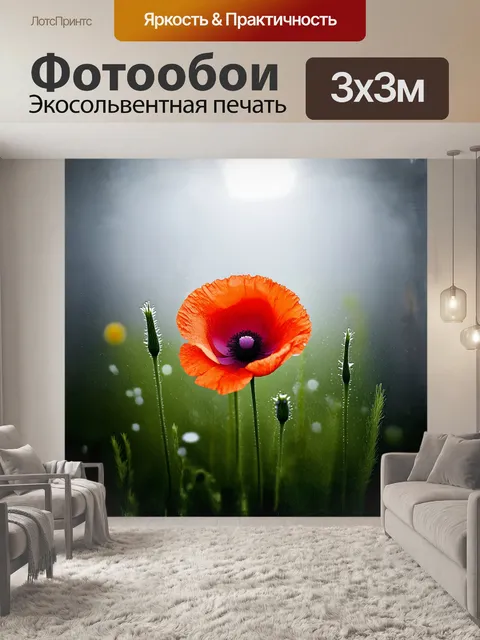 Фотообои цветок мака в туманном рассвете, лепестки которого нежно соприкасаются с каплями росы