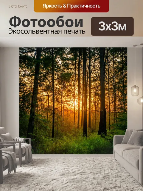 Фотообои лес с мягким солнечным закатом, освещающим деревья