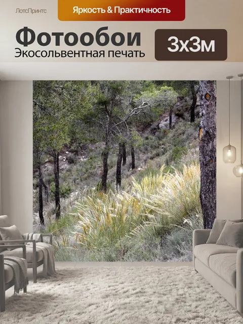 Фотообои Лес