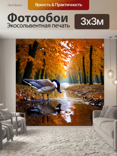 Фотообои гусь, закрывающий голову под крыло, выделяется на фоне осеннего леса, где листья переливаются всеми…