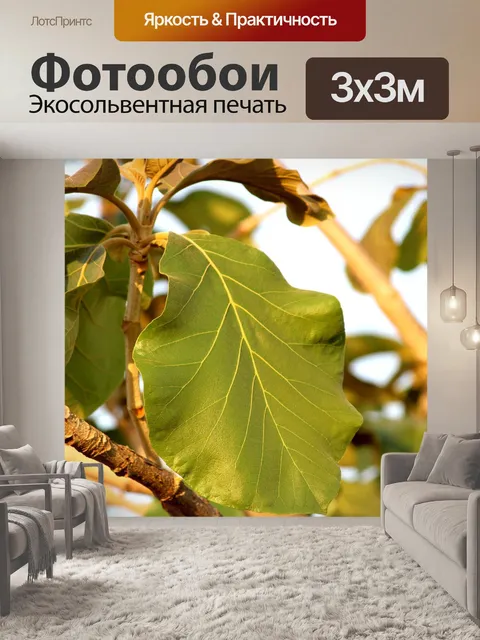 Фотообои Дикое дерево листья