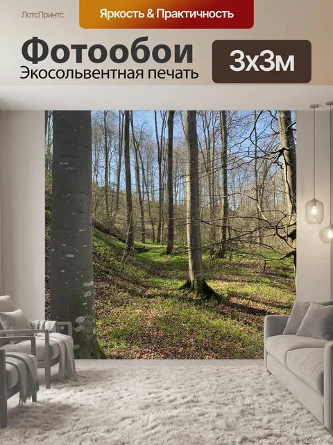 Фотообои Лес
