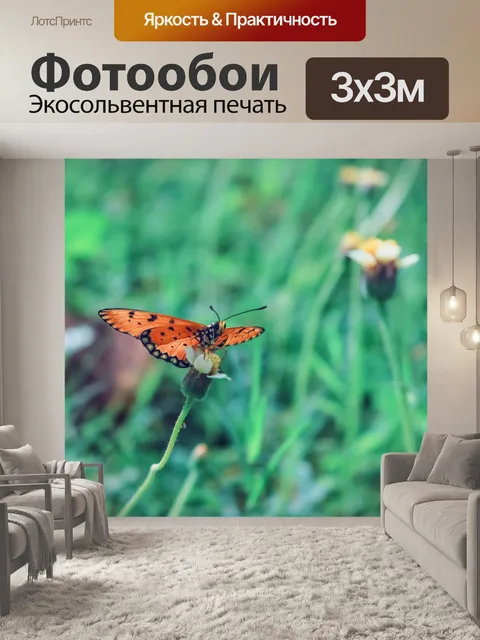Фотообои Бабочка