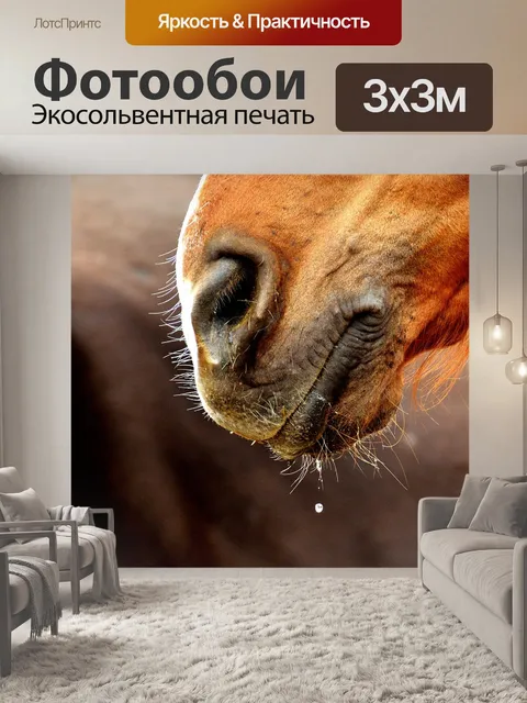 Фотообои Лошадь морда