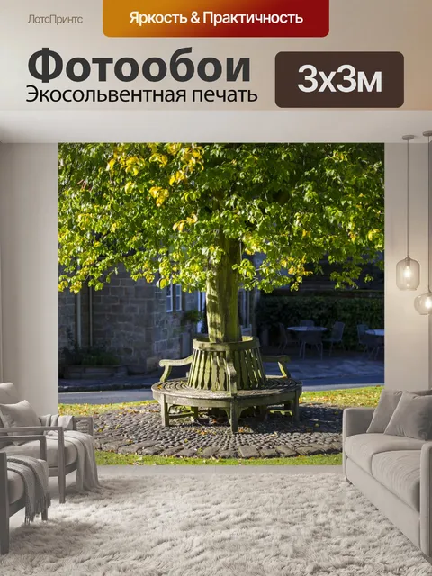 Фотообои Скамья Вокруг Дерево