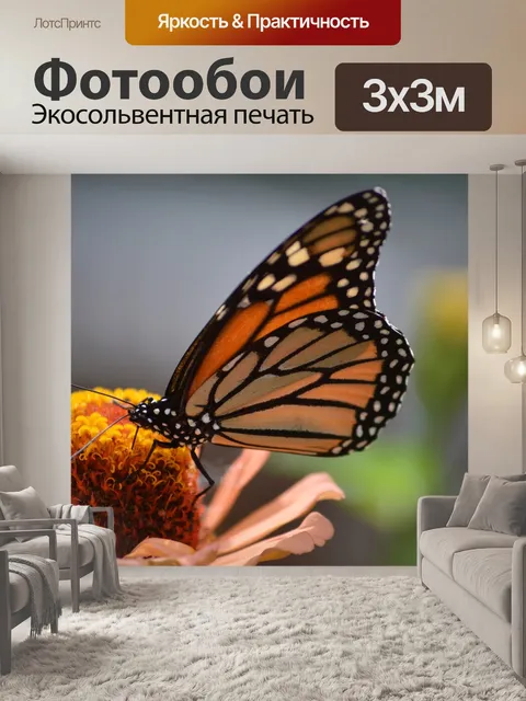 Фотообои Бабочки