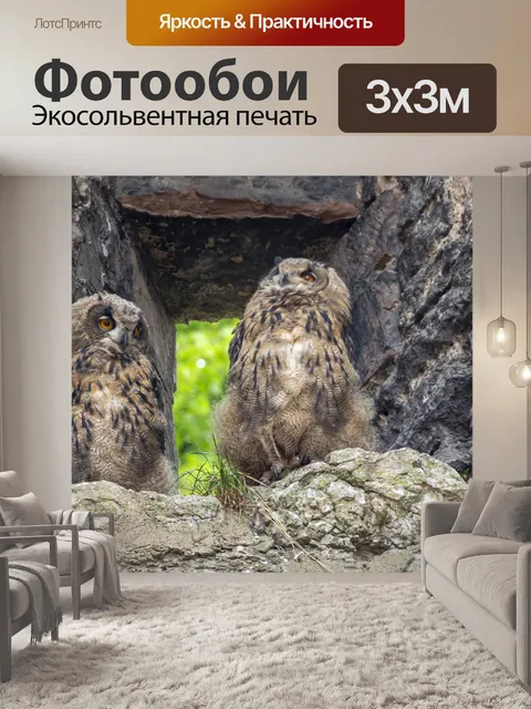 Фотообои Птица