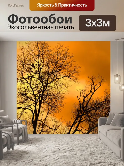 Фотообои деревья с закат