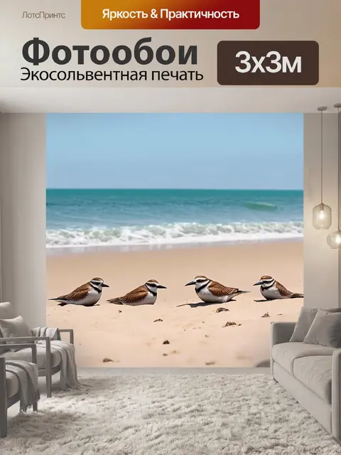 Фотообои птицы, отдыхающие на песчаном пляже возле океана, с легкими волнами на фоне