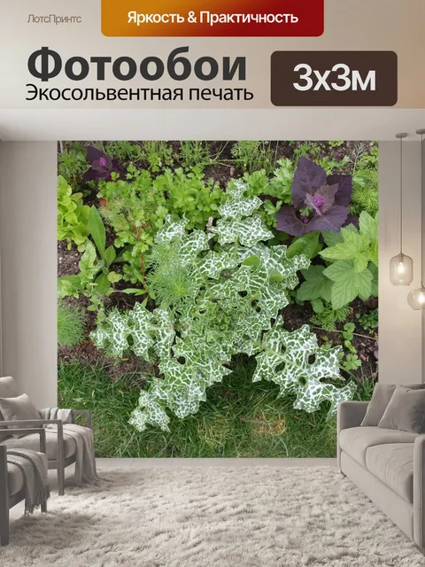 Фотообои Сад