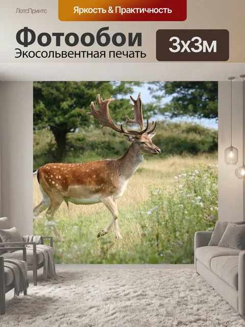 Фотообои Ромсё