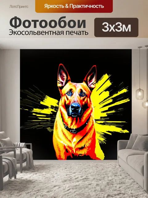 Фотообои бельгийская овчарка малинуа в динамическом движении