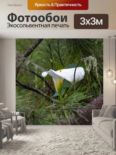 Фотообои Лили