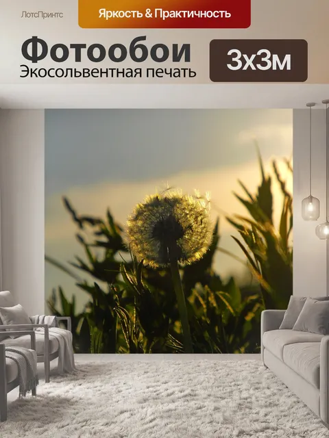 Фотообои Одуванчик