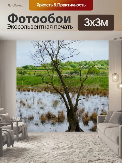 Фотообои Дерево