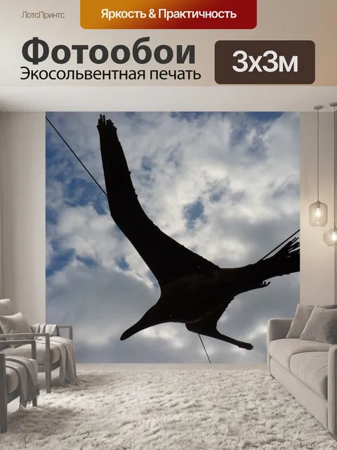 Фотообои Птица
