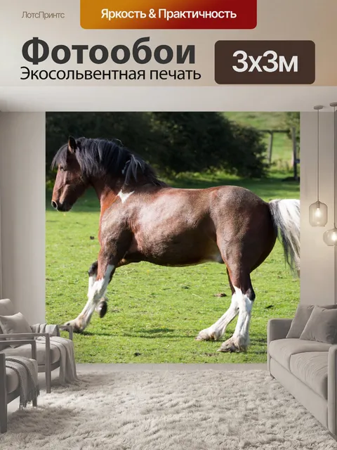 Фотообои лошадь