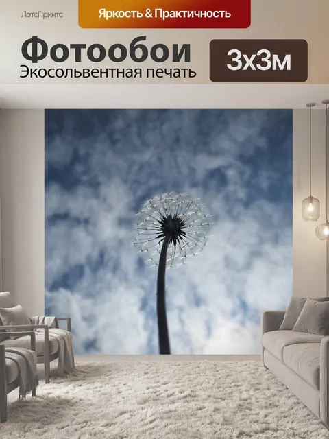 Фотообои Одуванчик