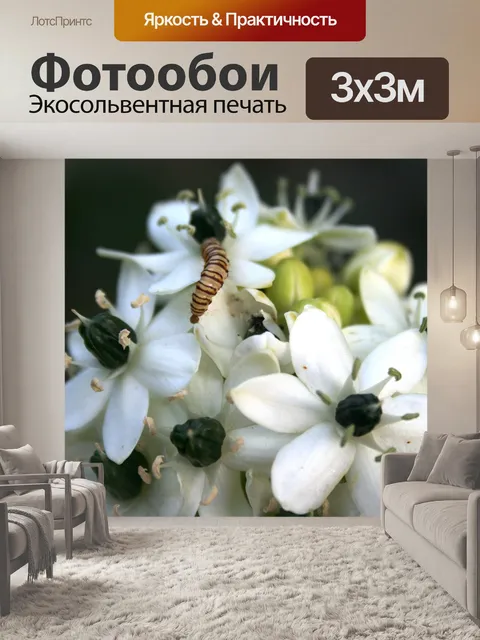 Фотообои Цветы