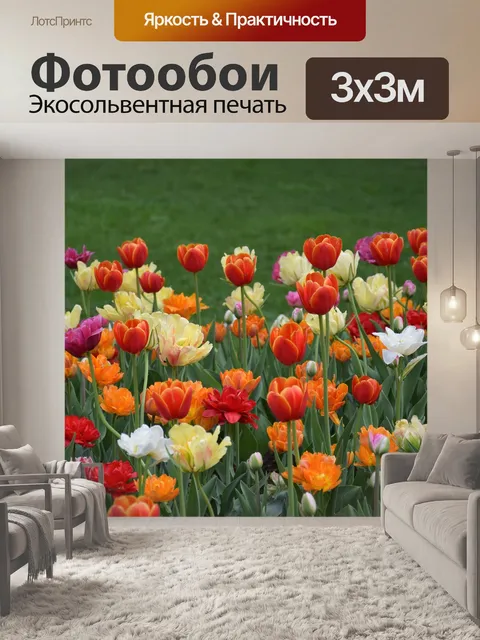 Фотообои Тюльпаны