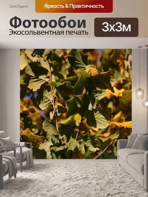 Фотообои Желтый