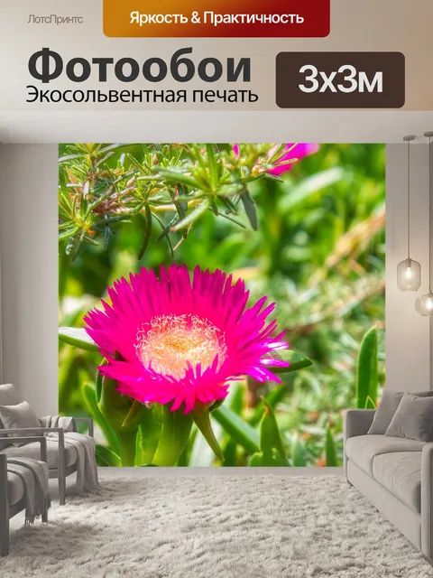 Фотообои Цветы