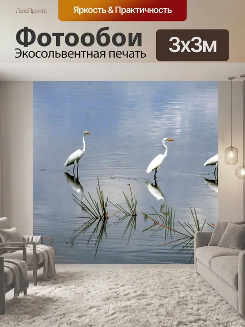 Фотообои Птицы