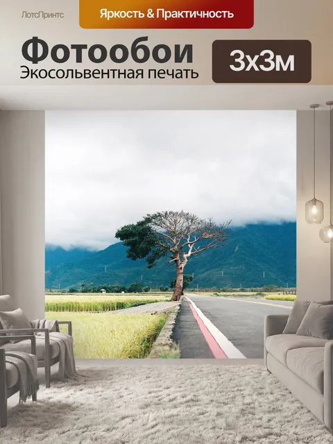 Фотообои Большие деревья