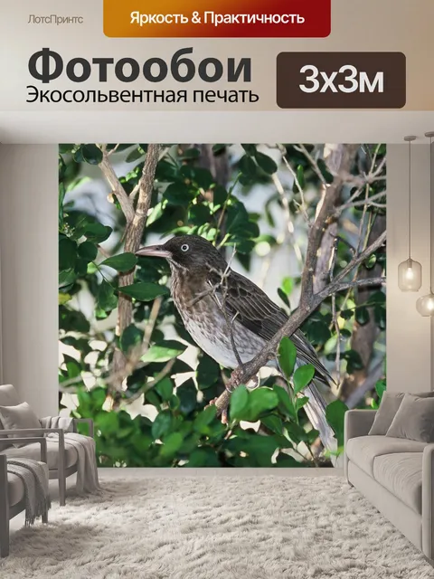 Фотообои Дерево