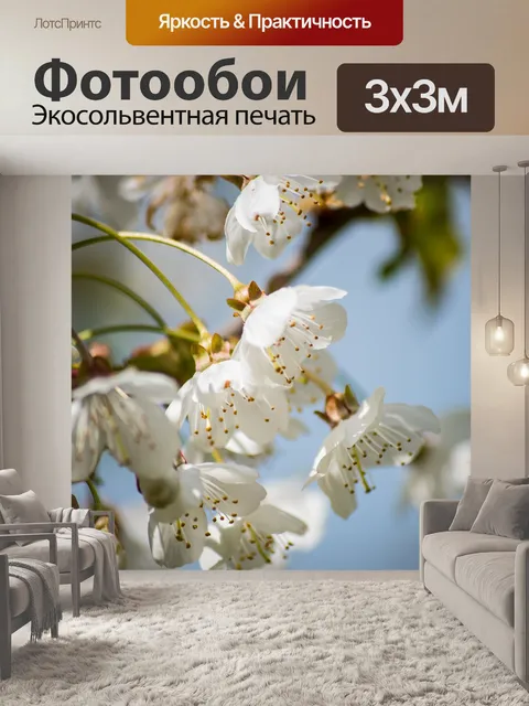 Фотообои Белый