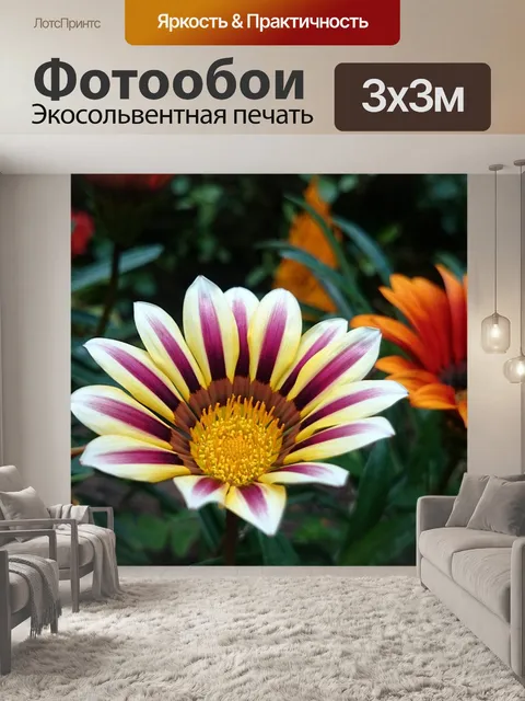 Фотообои Цветок