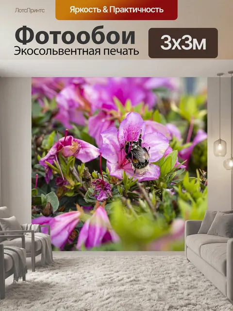 Фотообои Бурдон