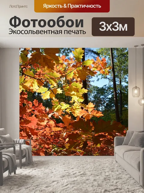Фотообои Лес