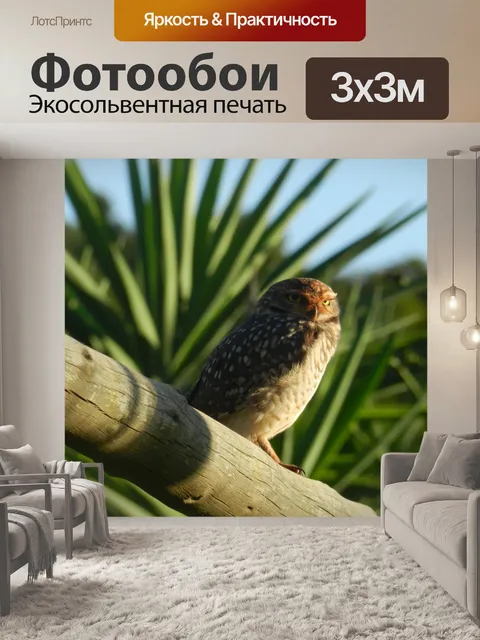 Фотообои Птица
