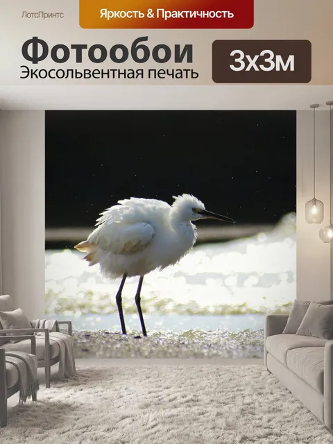 Фотообои Животное