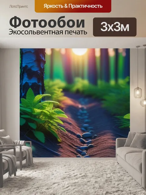 Фотообои черника на лесной тропе при закате