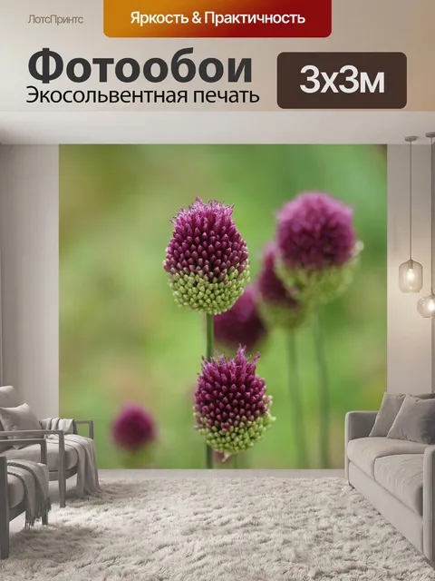 Фотообои Цветы