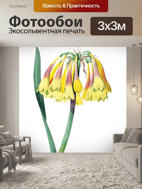 Фотообои Клипарт Vintage flower art