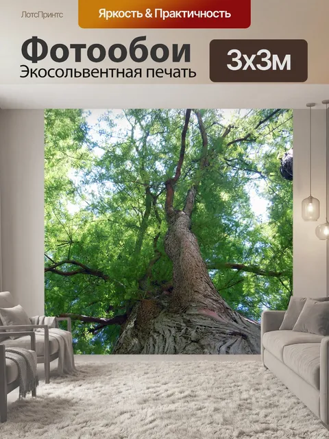 Фотообои Лес