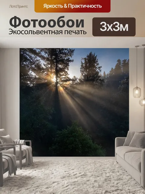 Фотообои Утро