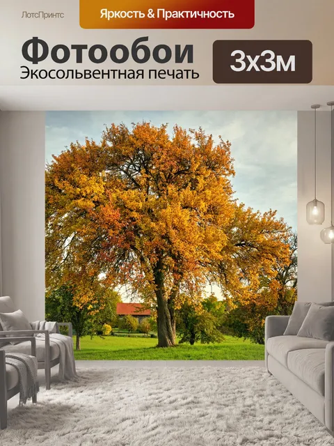 Фотообои Осень
