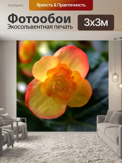 Фотообои Цветы