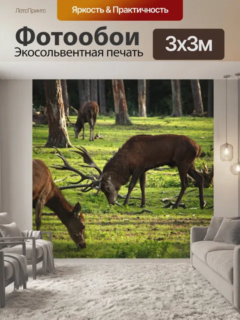 Фотообои Стадо благородных оленей косуль