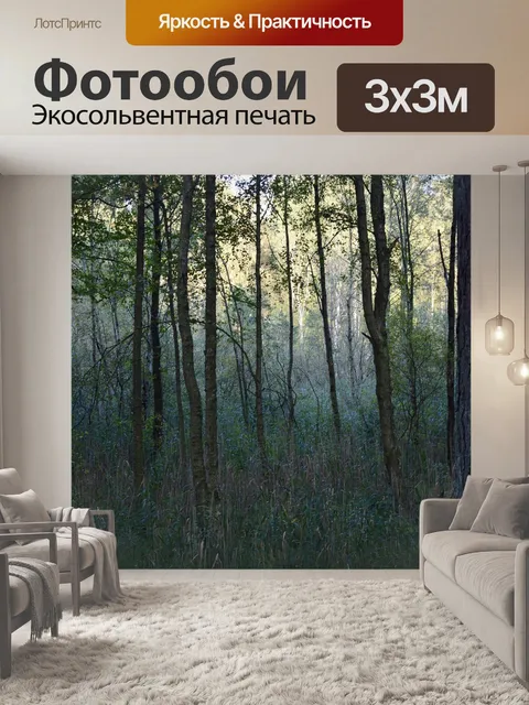 Фотообои Швеция
