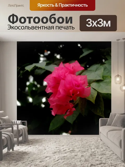Фотообои Цветы