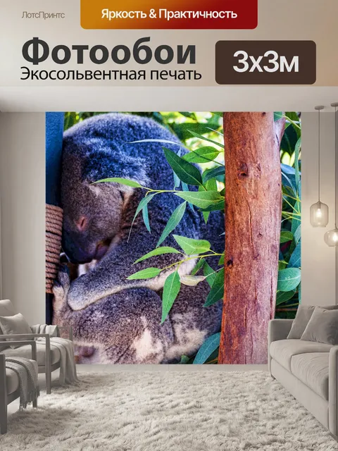 Фотообои Спящий коальский медведь