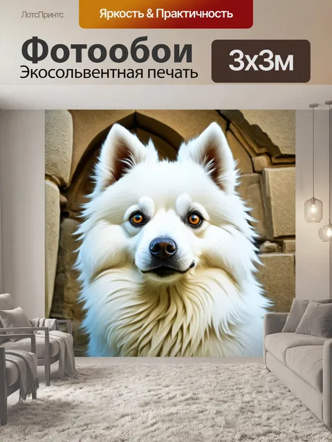 Фотообои изобразите крупный план лица белого шпиц-собаки