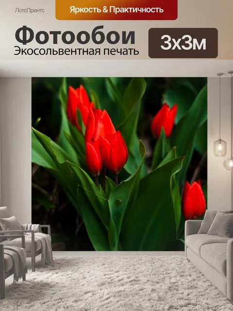 Фотообои Тюльпаны
